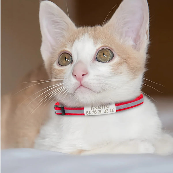 Reflective Safety Cat Collar