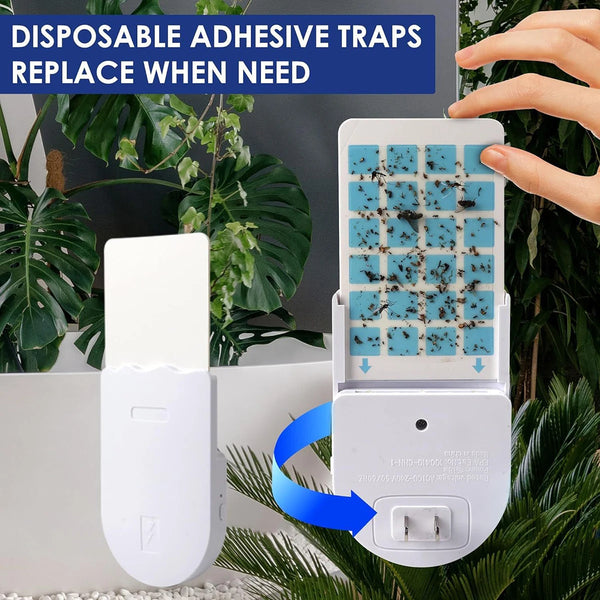 Gentle Glow Mosquito Trap