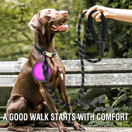 Reflective Dog Leash for Walks